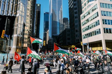 Filistinlilerin Gazze 'deki İsrail saldırısına karşı Toronto' da savaş karşıtı yürüyüş. İsrail-HAMAS savaşını barışçıl bir şekilde protesto ediyor. Protestocular bayrak sallıyor. Filistin soykırımı.