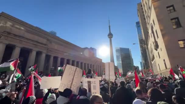 巴勒斯坦人在多伦多举行反战游行 反对巴勒斯坦人在加沙的侵略 城市和平抗议以色列 Hamas战争 抗议者高举旗帜反对巴勒斯坦种族灭绝 — 图库视频影像