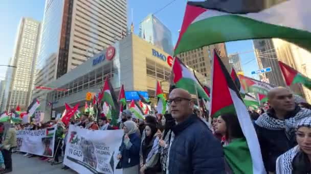 War March Toronto Palestinians Israels Aggression Gaza Citys Peaceful Protest — Stock Video