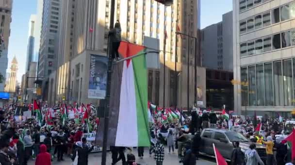 Антивоенный Марш Палестинцев Торонто Против Израильской Агрессии Газе Мирный Протест — стоковое видео