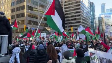 Filistinlilerin Gazze 'deki İsrail saldırısına karşı Toronto' da savaş karşıtı yürüyüş. İsrail-HAMAS savaşını barışçıl bir şekilde protesto ediyor. Protestocular bayrak sallıyor. Filistin soykırımı.