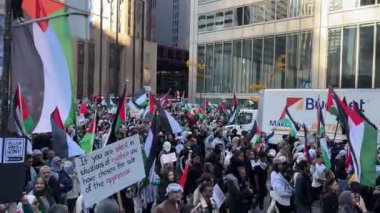 Filistinlilerin Gazze 'deki İsrail saldırısına karşı Toronto' da savaş karşıtı yürüyüş. İsrail-HAMAS savaşını barışçıl bir şekilde protesto ediyor. Protestocular bayrak sallıyor. Filistin soykırımı.