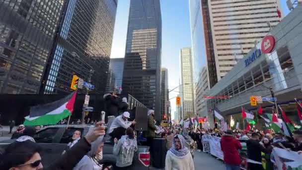 Antikriegsmarsch Toronto Von Palästinensern Gegen Die Israelische Aggression Gaza Friedlicher — Stockvideo