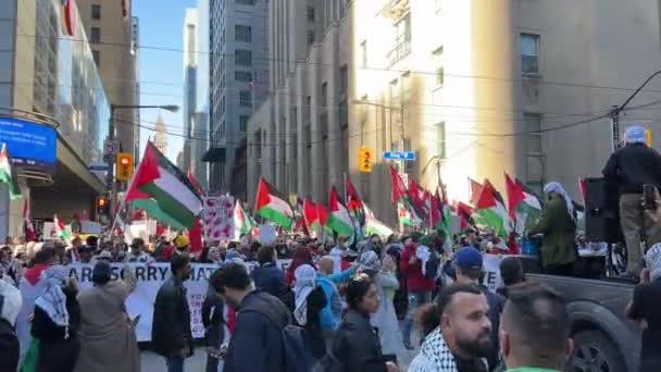 Palestiniernas Antikrigsmarsch Toronto Mot Israels Aggression Gaza Citys Fredliga Protest — Stockvideo
