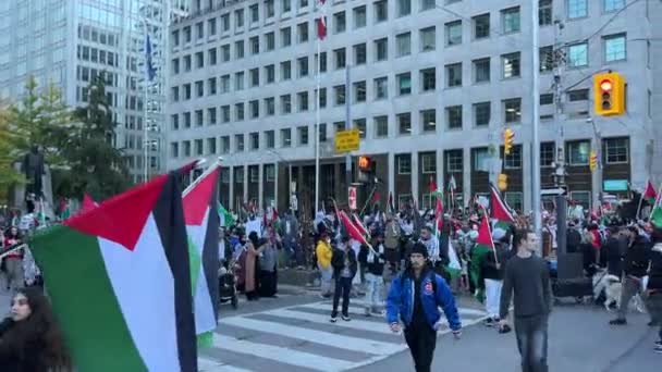 Marsz Antywojenny Palestyńczyków Toronto Przeciwko Agresji Izraela Strefie Gazy Pokojowy — Wideo stockowe