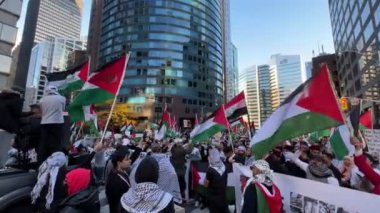 Filistinlilerin Gazze 'deki İsrail saldırısına karşı Toronto' da savaş karşıtı yürüyüş. İsrail-HAMAS savaşını barışçıl bir şekilde protesto ediyor. Protestocular bayrak sallıyor. Filistin soykırımı.