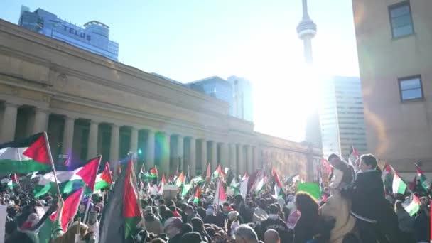 War March Toronto Palestinians Israels Aggression Gaza Citys Peaceful Protest — Stock Video