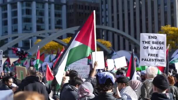 Protiválečný Pochod Palestinců Proti Izraelské Agresi Gaze Torontu Citys Mírový — Stock video