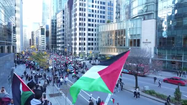 Protiválečný Pochod Palestinců Torontu Proti Izraelské Vojenské Agresi Gaze Mírový — Stock video