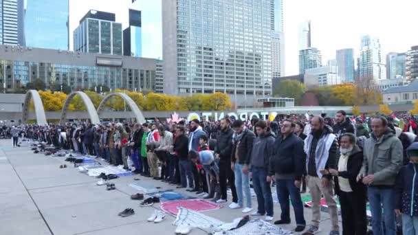 Palestiniernas Antikrigsmarsch Toronto Mot Israels Aggression Gaza Citys Fredliga Protest — Stockvideo