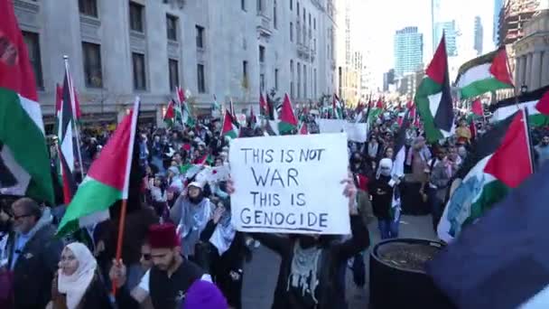 Marsz Antywojenny Palestyńczyków Toronto Przeciwko Agresji Izraela Strefie Gazy Pokojowy — Wideo stockowe