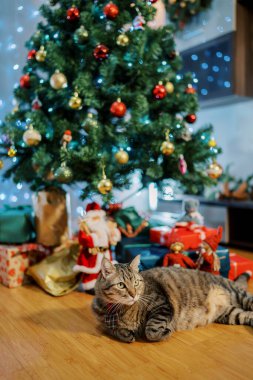 Büyük kedi süslü bir Noel ağacının altında yerde yatıyor ve başka yere bakıyor. Yüksek kalite fotoğraf