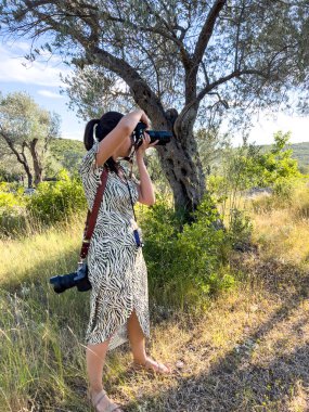 Kız fotoğrafçı parktaki bir ağacın yakınındaki dijital kamerada çekim yapıyor. Yüksek kalite fotoğraf