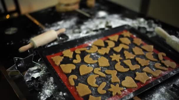 Çiğ Noel Kurabiyeleri Masanın Üzerindeki Bir Yemek Tepsisinin Üzerinde Yatıyor — Stok video