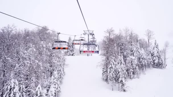 Cabines Elevação Esqui Caminham Longo Pista Acima Das Árvores Cobertas — Vídeo de Stock