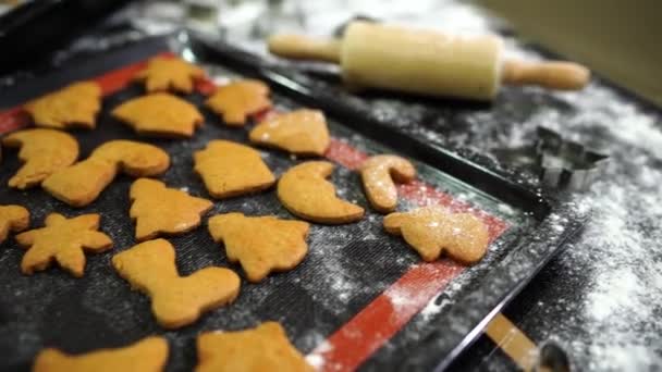 Biscotti Natale Immaginati Trovano Foglio Cottura Forno Tavolo Filmati Alta — Video Stock