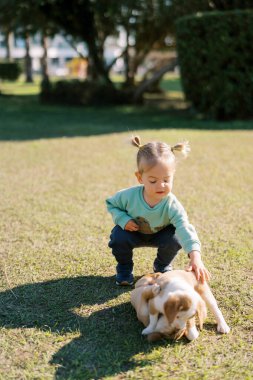 Çömelmiş küçük bir kız çimenlerde köpek yavrusu besliyor. Yüksek kalite fotoğraf