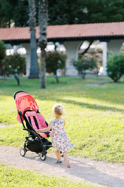 Küçük kız güneşli bir parktaki bir yolda bebek arabasına gidiyor. Arkadan bak. Yüksek kalite fotoğraf