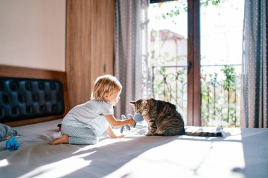 Tekir kedi, yatakta oturan küçük bir kızın elindeki yumuşak oyuncağı kokluyor. Yüksek kalite fotoğraf