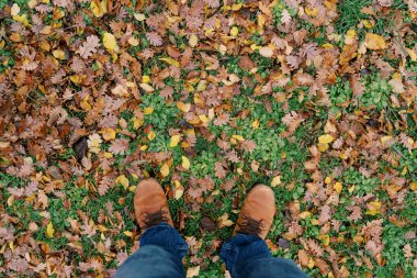 Botlu adamlar yeşil çimlerin üzerinde düşen yaprakların üzerinde dururlar. Üst Manzara. Yüksek kalite fotoğraf