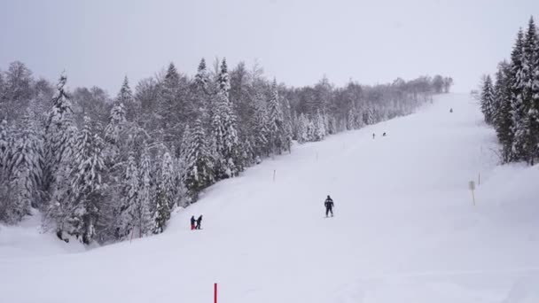 Skifahrer Fährt Einen Hohen Schneebedeckten Berg Skizentrum Kolasin 1600 Hinunter — Stockvideo