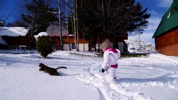 Kleines Mädchen Kriecht Durch Die Schneewehen Hinter Der Katze Ins — Stockvideo