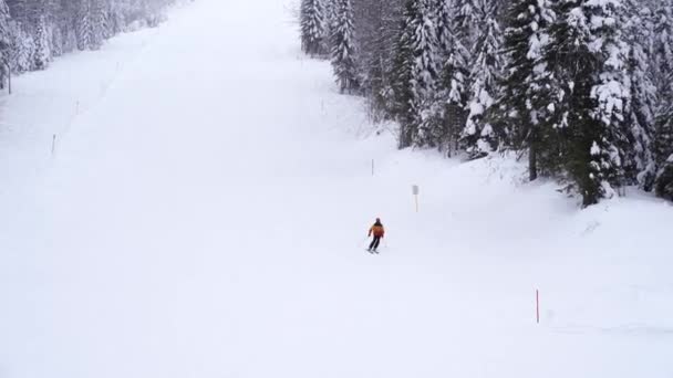 Esquiador Desciende Una Alta Montaña Cubierta Nieve Imágenes Alta Calidad — Vídeo de stock