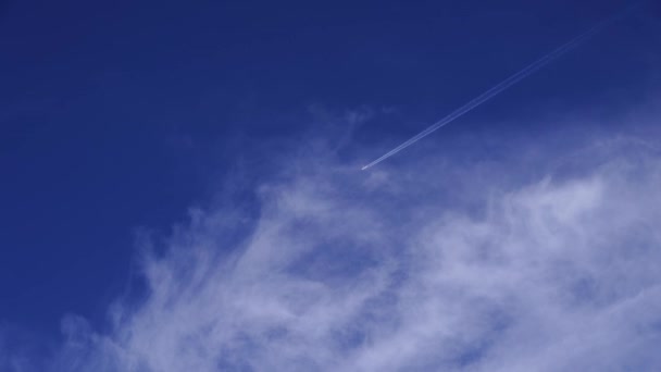Avión Vuela Cielo Dejando Rastro Blanco Imágenes Alta Calidad — Vídeo de stock