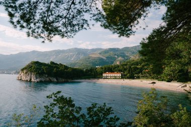 Dağların eteğindeki Villa Milocer yakınlarındaki kraliyet plajındaki ağaçların dallarından bak. Karadağ. Yüksek kalite fotoğraf