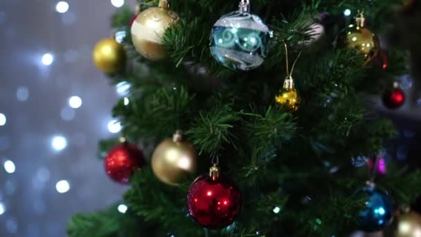 圣诞树的绿枝上挂着红色 金色的球 高质量的4K镜头 — 图库视频影像