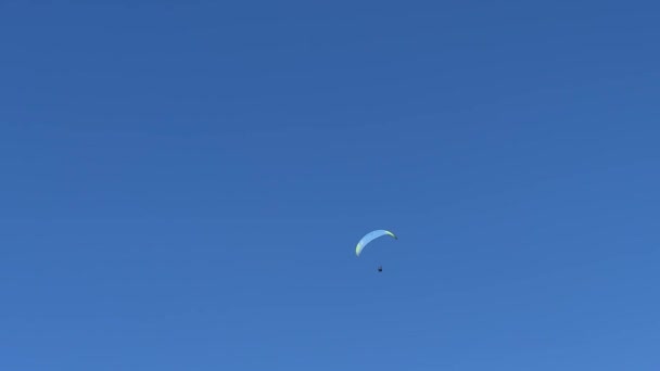 Skydiver Vliegt Een Parachute Een Helderblauwe Lucht Hoge Kwaliteit Beeldmateriaal — Stockvideo