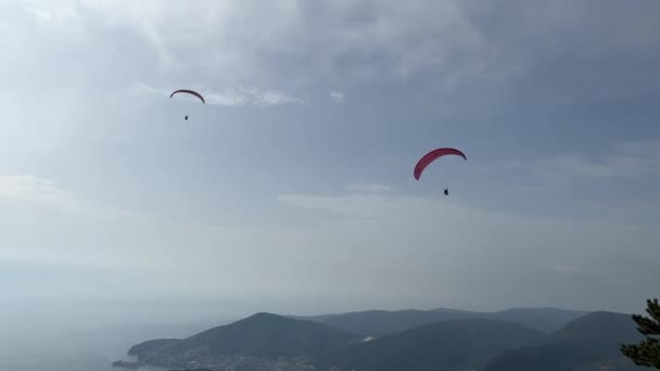 Skydivers Estão Voando Paraquedas Sobre Uma Cordilheira Imagens Alta Qualidade — Vídeo de Stock