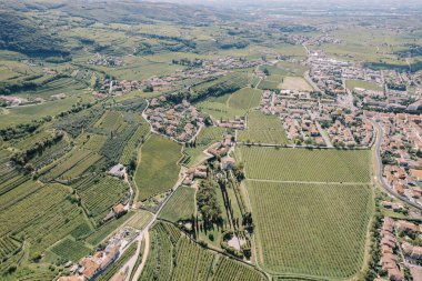 Dağ vadisinde yeşil üzüm bağları olan Negrar Valpolicella komünü. İtalya. Drone. Yüksek kalite fotoğraf