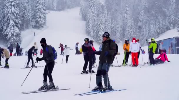 Los Esquiadores Con Mochilas Descienden Una Montaña Cubierta Nieve Centro — Vídeo de stock