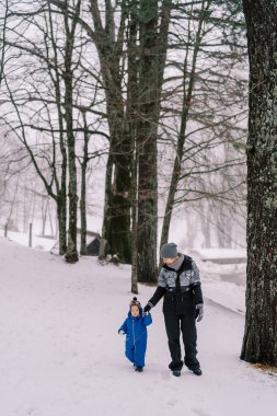 Anne ve küçük bir çocuk ormanda karlı bir yamaç boyunca el ele tutuşarak yürüyor. Yüksek kalite fotoğraf