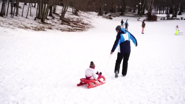 Papa Führt Kleines Mädchen Auf Einem Schlitten Durch Den Verschneiten — Stockvideo