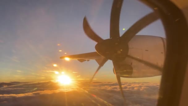 Vista Desde Ventana Aeronave Una Hélice Giratoria Contra Telón Fondo — Vídeos de Stock