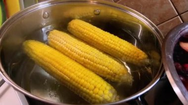 Sarı mısır koçanları fırının üstünde bir tencerede kaynatılır. Yüksek kalite 4k görüntü