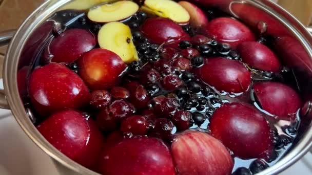 Fruit Compote Boiled Gurgling Stove Saucepan High Quality Footage — Stock Video