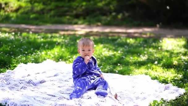 Tulumlu Küçük Bebek Çimenlikteki Bir Battaniyeye Oturur Bir Çimen Sapını — Stok video