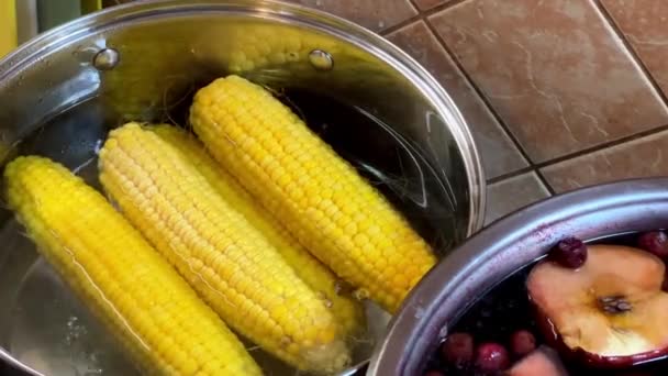 Corn Cobs Boiled Pot Stove High Quality Footage Video Clip