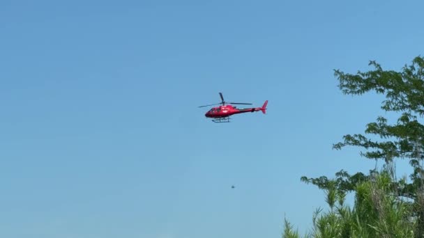 Czerwony Helikopter Wznosi Się Niebieskim Niebie Nad Zielonymi Drzewami Wysokiej — Wideo stockowe