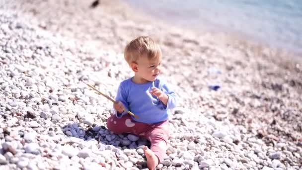 Small Child Plays Stick Pebble Beach Looks Sea High Quality — Stock Video