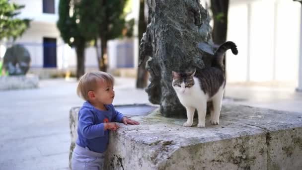 Μικρό Παιδί Στέκεται Κοντά Στο Βάθρο Και Κοιτάζει Γάτα Που — Αρχείο Βίντεο