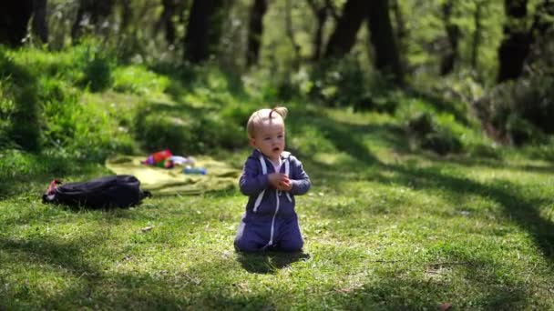 小女孩抱着一个小球坐在绿色的草坪上玩耍 高质量的4K镜头 — 图库视频影像
