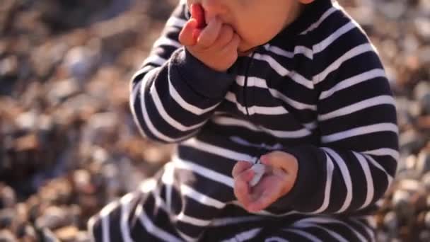 Small Child Striped Suit Puts Pebbles His Mouth Beach Close Royalty Free Stock Video