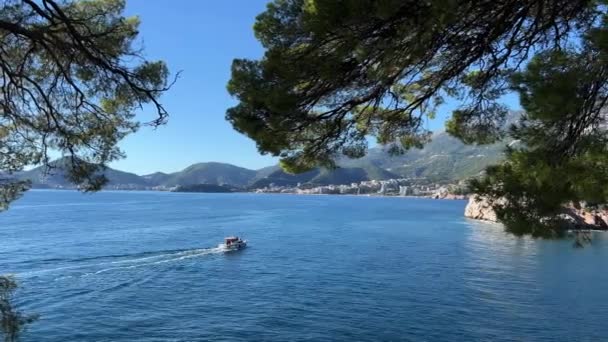 View Green Tree Branches Pleasure Boat Sailing Sea Mountainous Coast — Stock Video