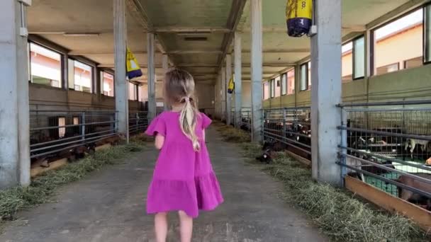 Klein Meisje Met Een Rieten Mand Loopt Door Een Boerderij — Stockvideo