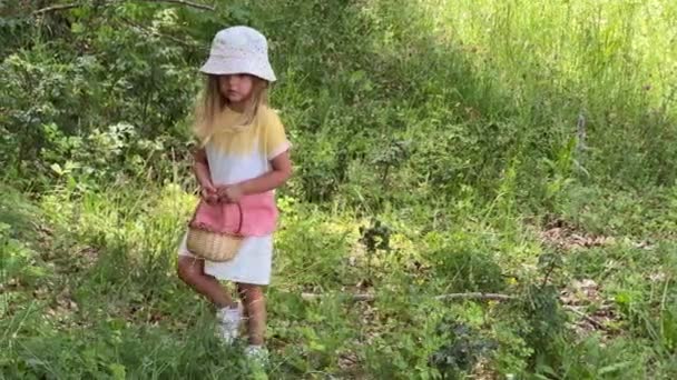 Petite Fille Avec Panier Marche Travers Forêt Cueille Des Baies — Video