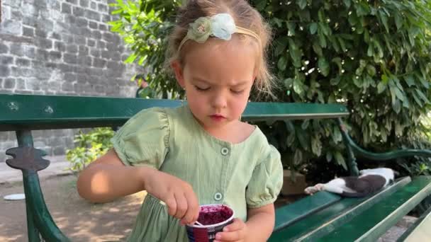 Little Girl Picking Burgundy Popsicles Cup Spatula While Sitting Bench — Stock Video